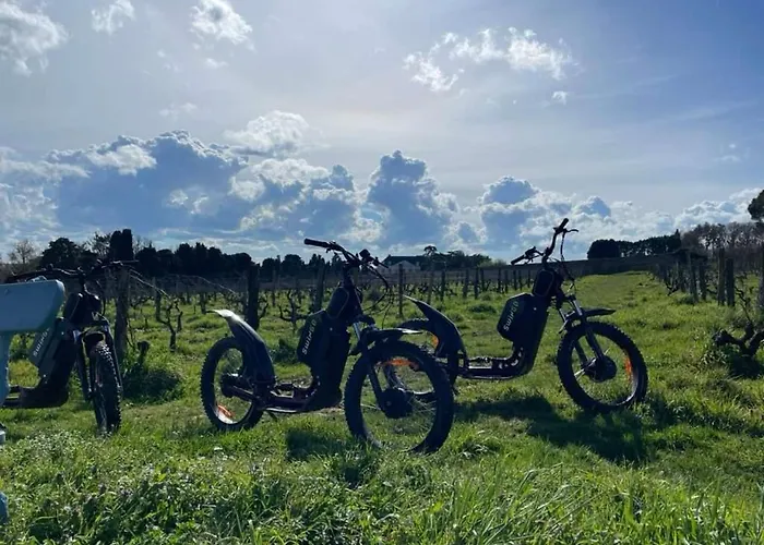 Domaine De Nyaraló *