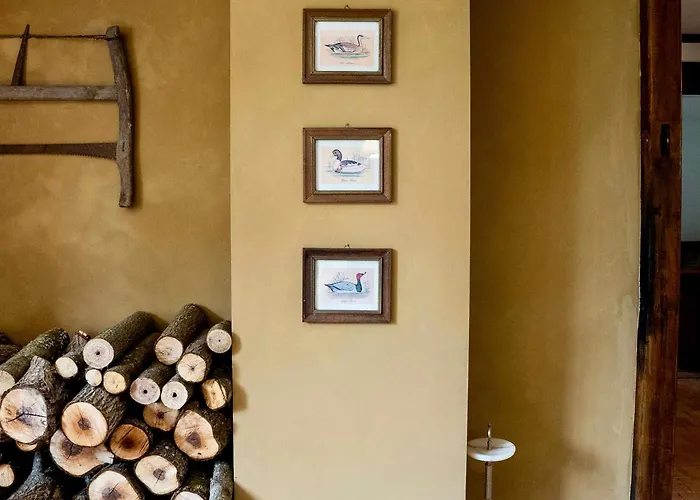 Domaine De Fontenay-sur-Vègre